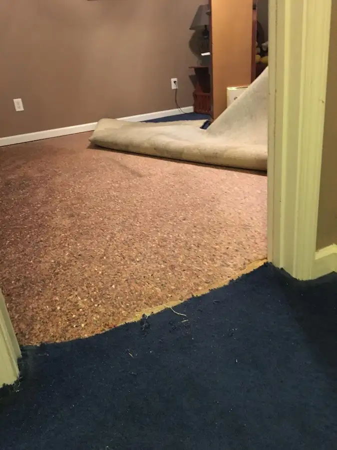 Carpet pad removal revealing water damage during Drying & Dehumidification in Warrensville Heights